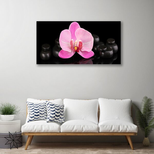 Tablou pe panza canvas Pietrele florale flori roz negru