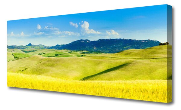 Tablou pe panza canvas Munții Peisaj Țara Verde Albastru