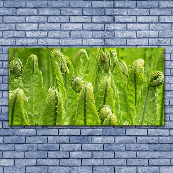 Tablou pe sticla Plante Floral Verde