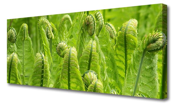 Tablou pe panza canvas Plante Floral Verde
