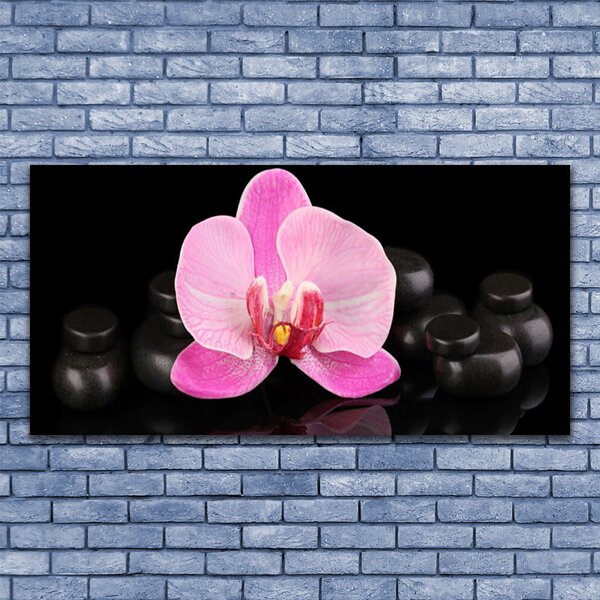 Tablouri acrilice Pietrele florale flori roz negru