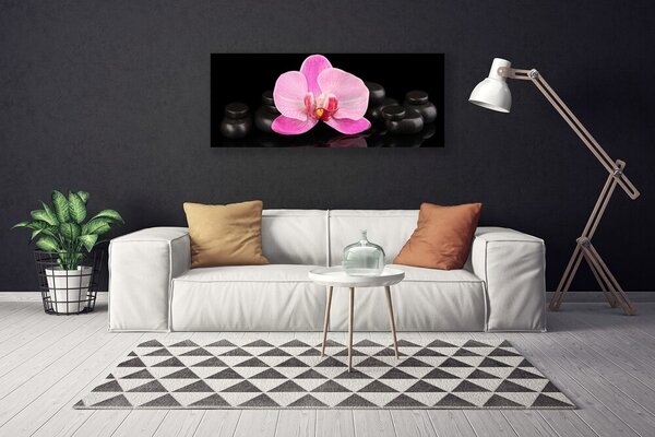 Tablou pe panza canvas Pietrele florale flori roz negru