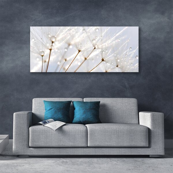 Tablou pe panza canvas Păpădie Floral Alb