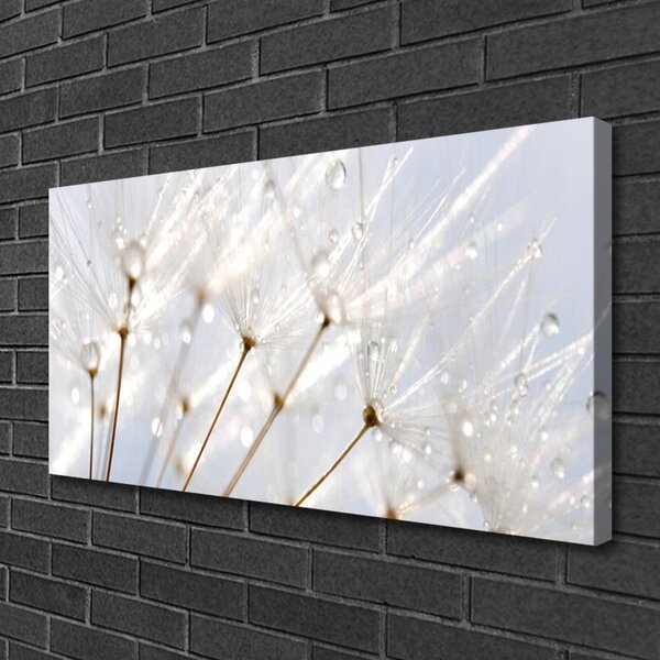 Tablou pe panza canvas Păpădie Floral Alb