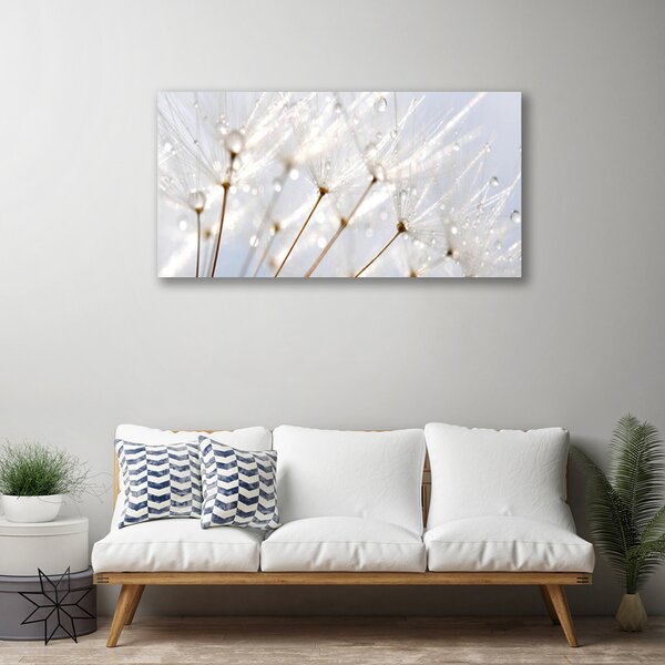 Tablou pe panza canvas Păpădie Floral Alb