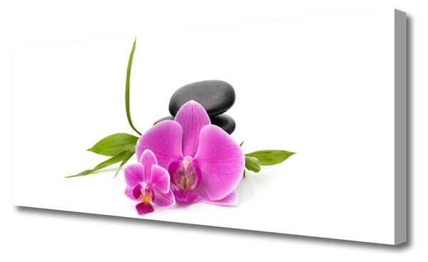 Tablou pe panza canvas Pietrele florale flori roz negru