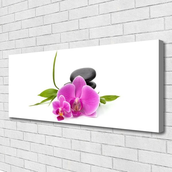 Tablou pe panza canvas Pietrele florale flori roz negru