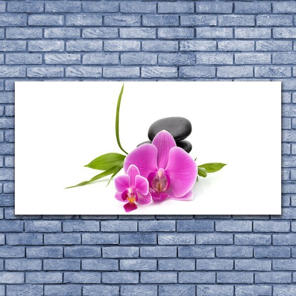 Tablou pe sticla Pietrele florale flori roz negru