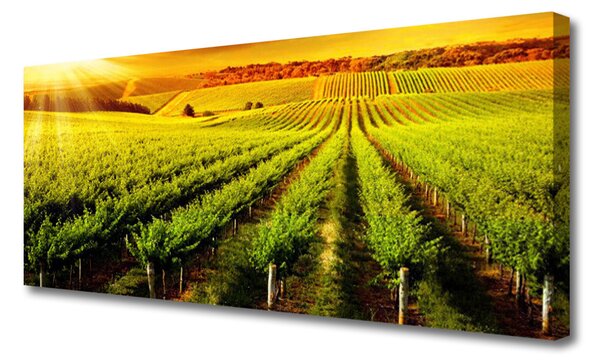 Tablou pe panza canvas Câmp Natura Verde Maro