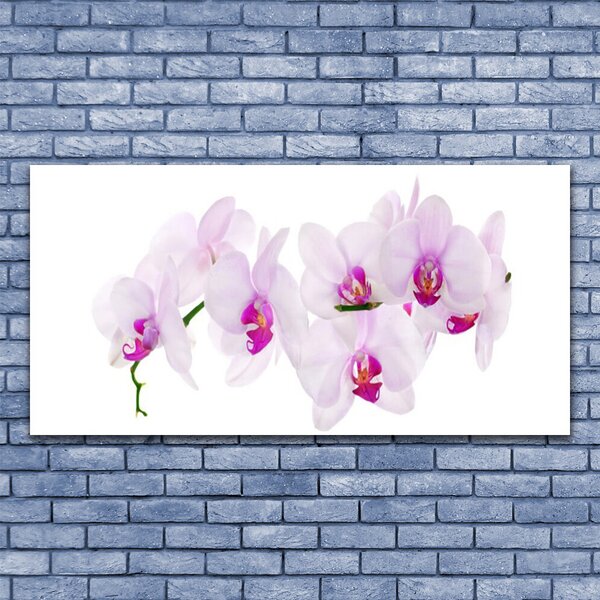 Tablou pe sticla Flori roz Floral