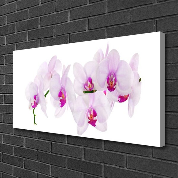 Tablou pe panza canvas Flori roz Floral