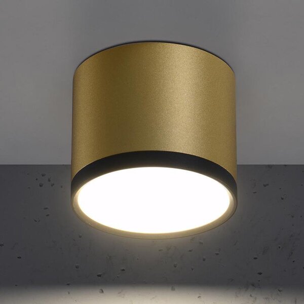 Candellux Tuba lampă de tavan 1x9 W negru-auriu 2275956