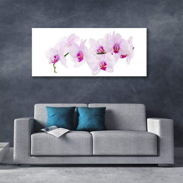 Tablou pe panza canvas Flori roz Floral