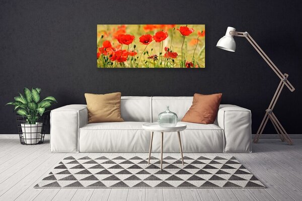 Tablou pe panza canvas Maci Natura Roșu Verde