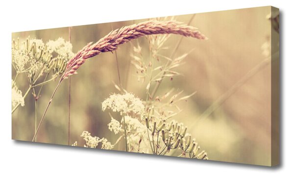 Tablou pe panza canvas Plante sălbatice Floral Alb Brun