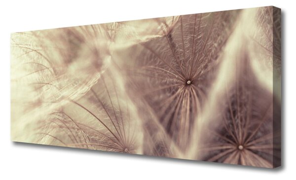Tablou pe panza canvas Păpădie Floral Gray