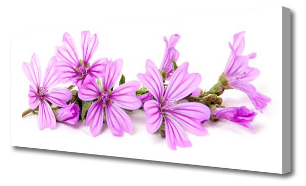 Tablou pe panza canvas Flori roz Floral