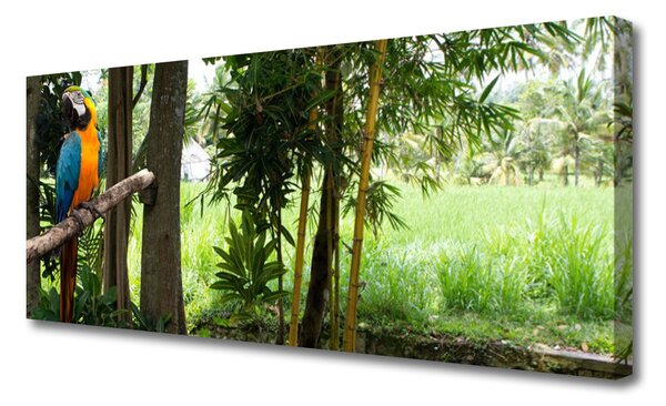 Tablou pe panza canvas Parrot Copaci Natura Albastru Galben Maro Verde