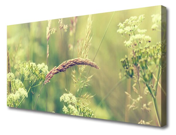 Tablou pe panza canvas Plante sălbatice Floral Alb Verde Brun