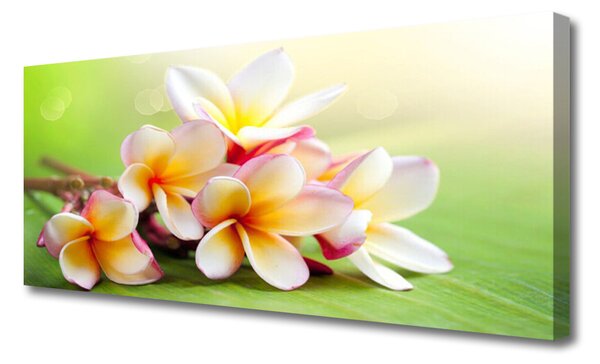 Tablou pe panza canvas Flori Floral Roșu Alb Galben