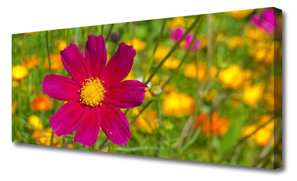 Tablou pe panza canvas Flower Floral Galben Roșu