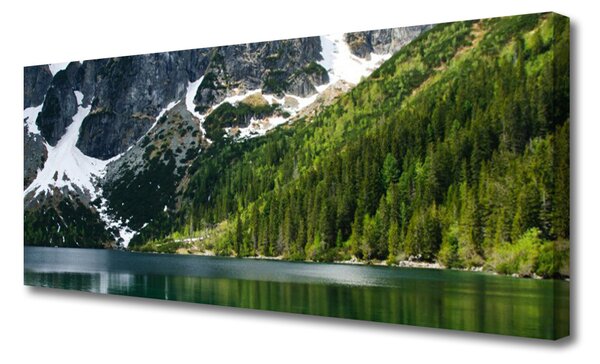 Tablou pe panza canvas Lacul Munții Peisaj Forestier Gri Alb Verde