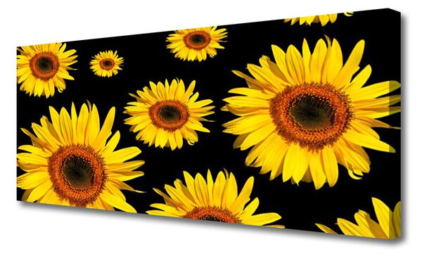 Tablou pe panza canvas Floarea soarelui Floral Brown Galben