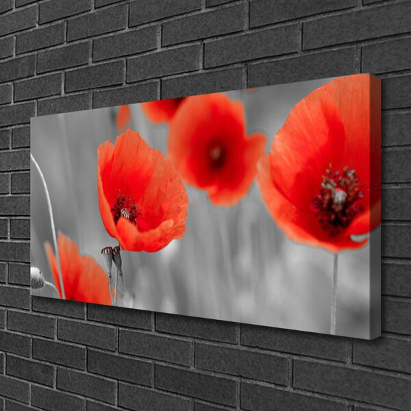 Tablou pe panza canvas Maci Floral Roșu Gri