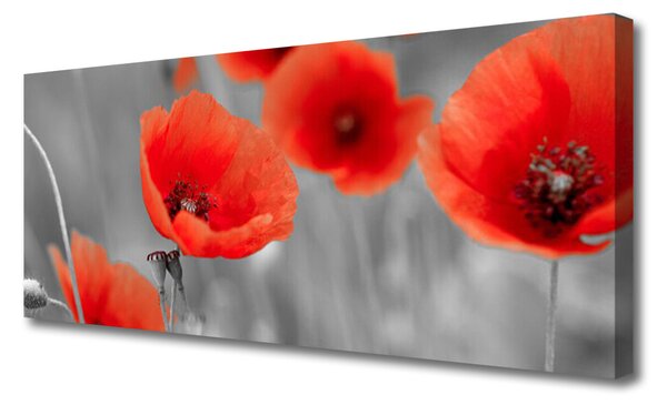 Tablou pe panza canvas Maci Floral Roșu Gri