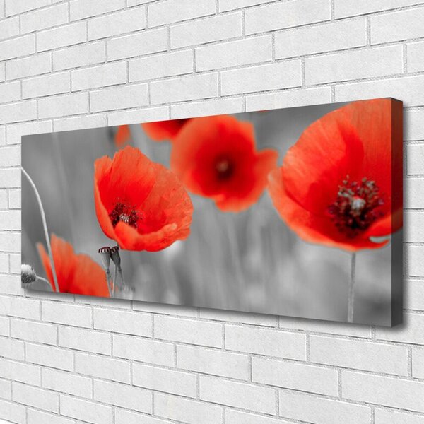 Tablou pe panza canvas Maci Floral Roșu Gri