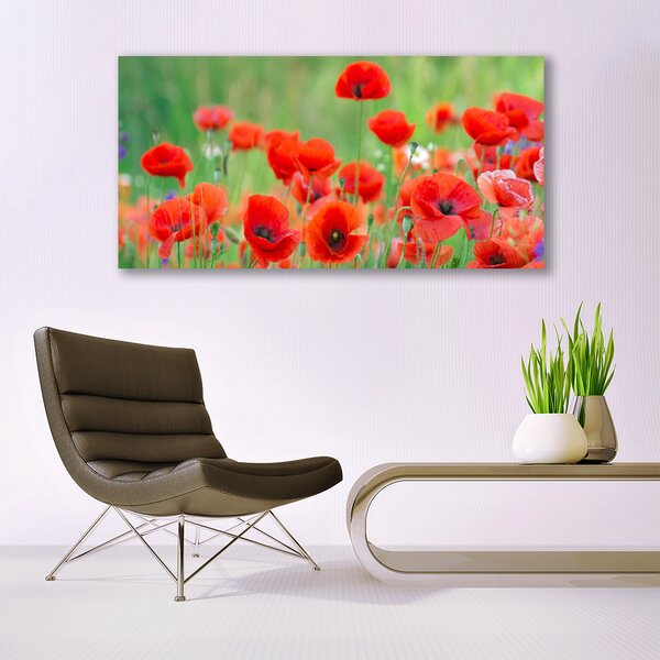 Tablou pe panza canvas Maci Floral Rosu Negru