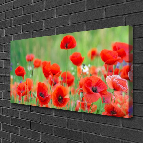 Tablou pe panza canvas Maci Floral Rosu Negru
