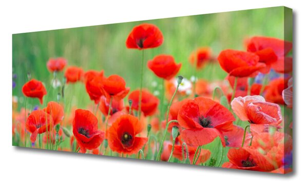 Tablou pe panza canvas Maci Floral Rosu Negru