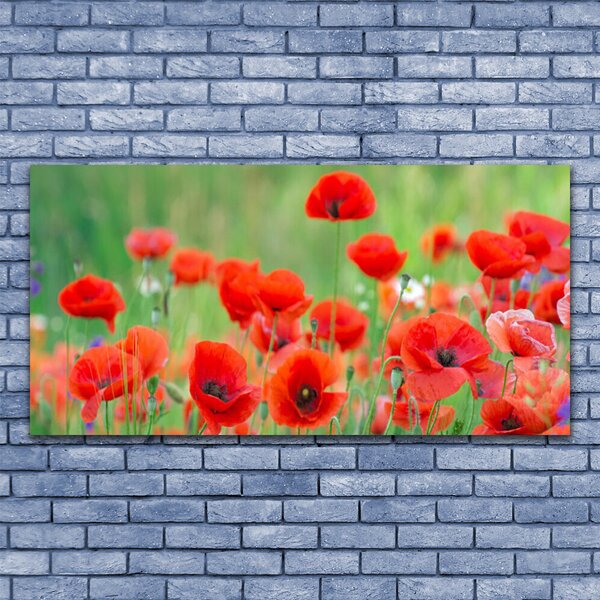 Tablou pe panza canvas Maci Floral Rosu Negru