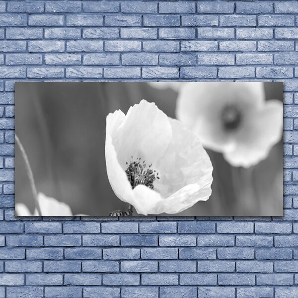 Tablou pe sticla Maci Floral Gray