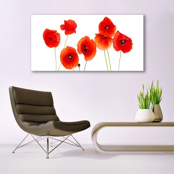 Tablou pe panza canvas Maci Floral Rosu Negru