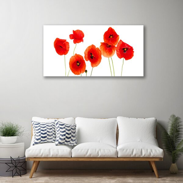 Tablou pe panza canvas Maci Floral Rosu Negru