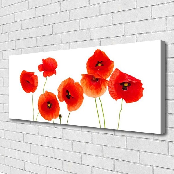 Tablou pe panza canvas Maci Floral Rosu Negru