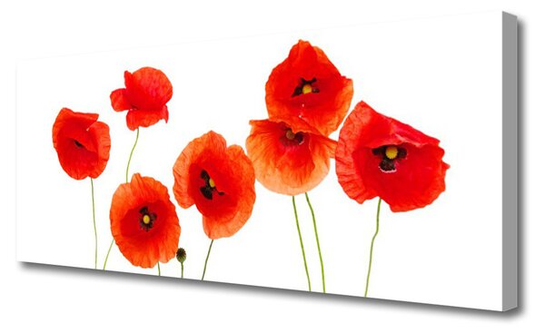 Tablou pe panza canvas Maci Floral Rosu Negru