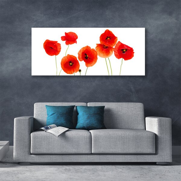 Tablou pe panza canvas Maci Floral Rosu Negru