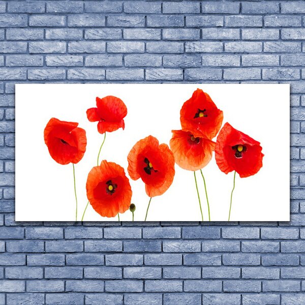 Tablou pe panza canvas Maci Floral Rosu Negru