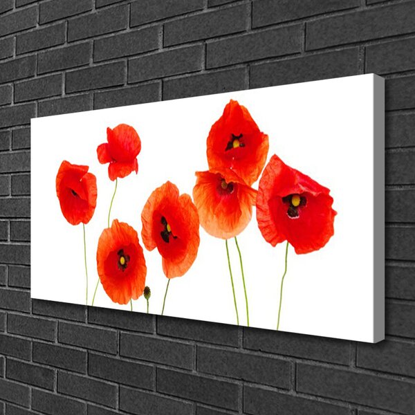 Tablou pe panza canvas Maci Floral Rosu Negru