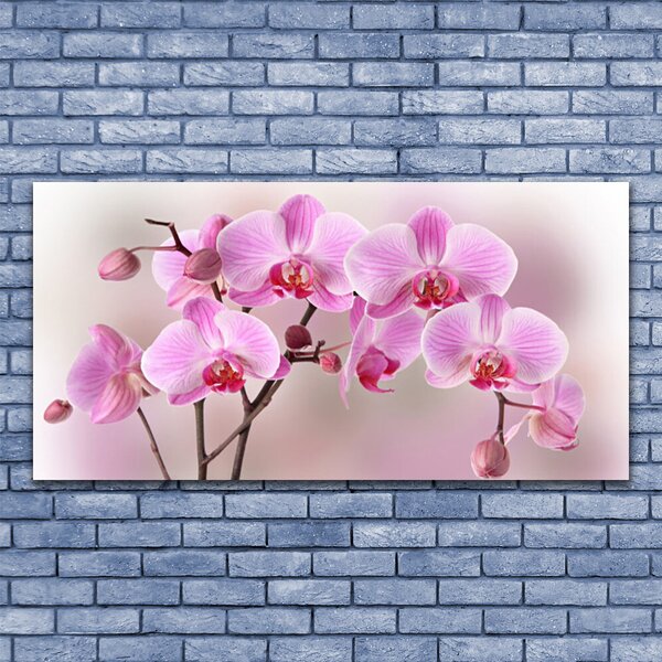 Tablou pe panza canvas Flori roz Floral