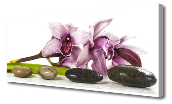 Tablou pe panza canvas Pietrele florale flori roz Gri Negru