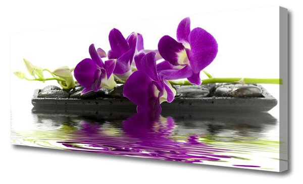Tablou pe panza canvas Flori roz Floral