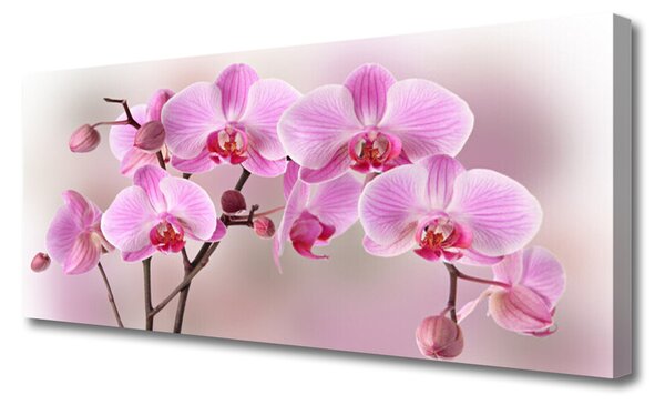 Tablou pe panza canvas Flori roz Floral
