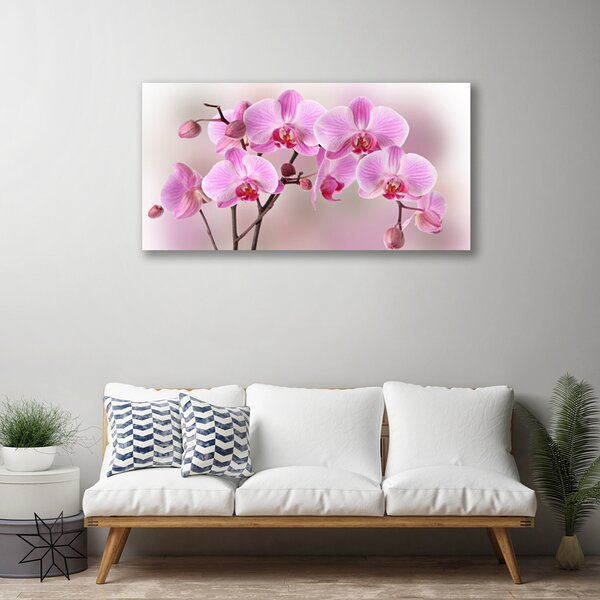Tablou pe panza canvas Flori roz Floral
