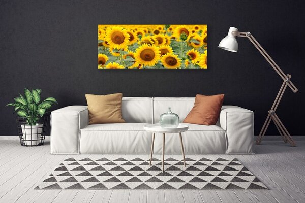 Tablou pe panza canvas Floarea soarelui Floral Brown Galben