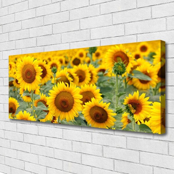 Tablou pe panza canvas Floarea soarelui Floral Brown Galben