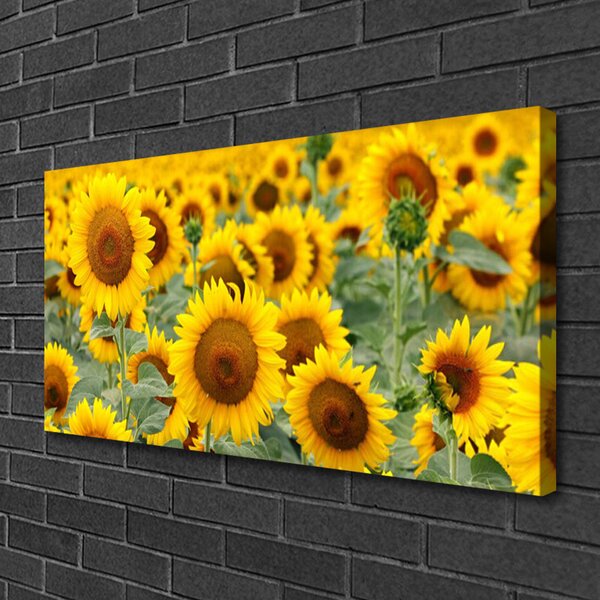 Tablou pe panza canvas Floarea soarelui Floral Brown Galben
